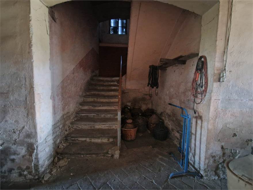 Photo 31